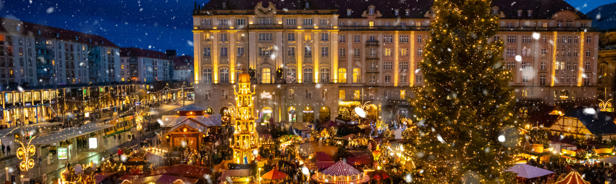 NapeX Finance - Year End Review 2025