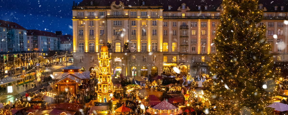 NapeX Finance - Year End Review 2025