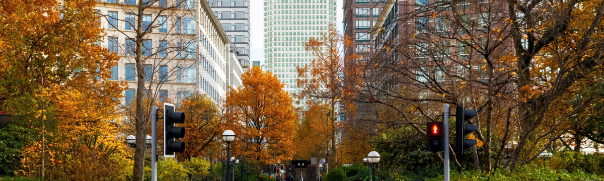 Latest NapeX Finance News