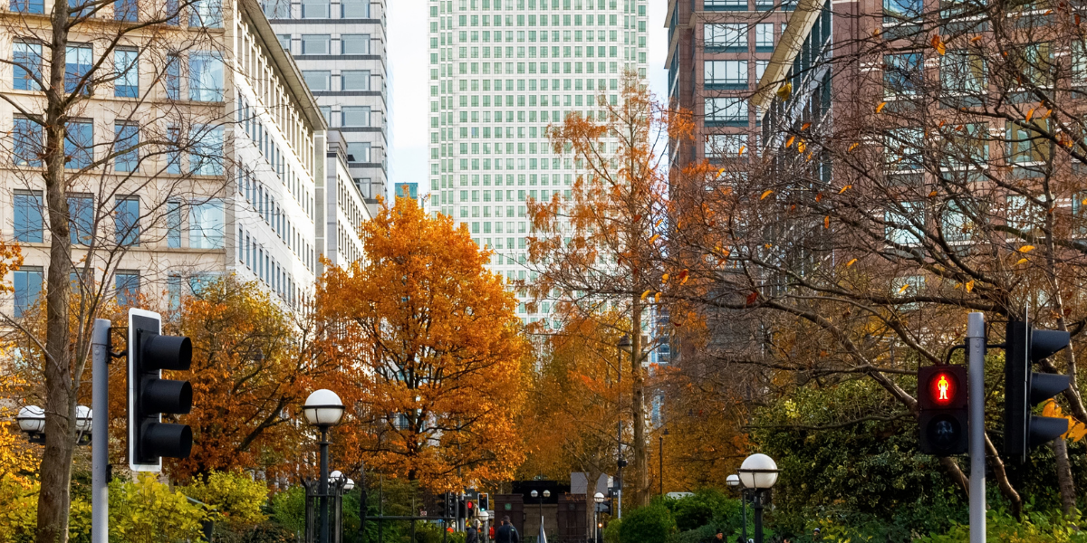 Latest NapeX Finance News