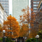 Latest NapeX Finance News