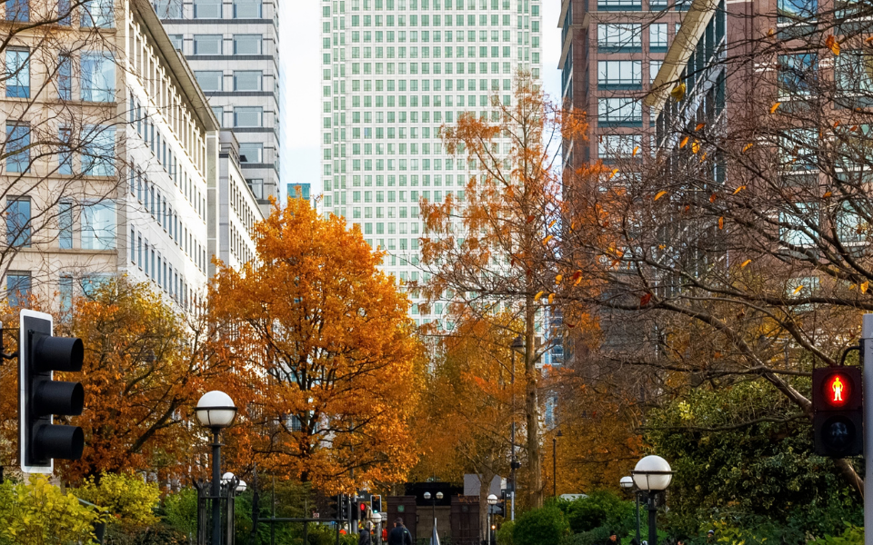 Latest NapeX Finance News